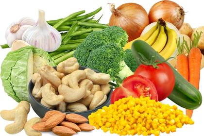 Food Supplies Food Supplies